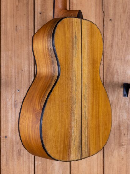 000-Travel - Jackfruit Top, Back and Sides - Image 8