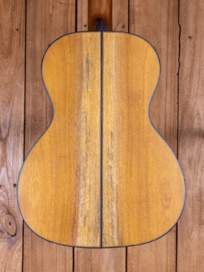 000-Travel - Jackfruit Top, Back and Sides - Image 7