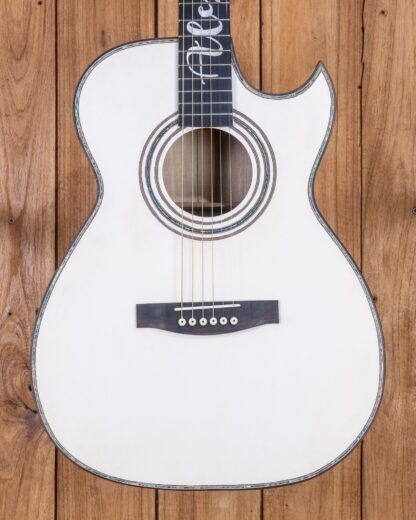 Custom Build #280 – Gmelina Orchestra Model - Image 5