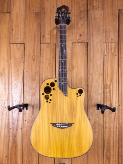 Custom Build #295 – Jackfruit Dreadnought