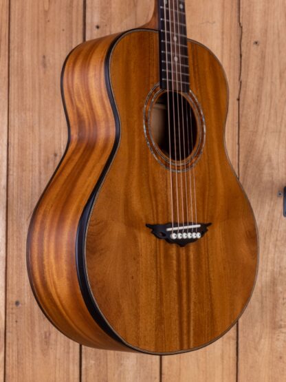 Custom Build #311 - GS-Travel Mahogany Spruce top, back and sides - Image 6
