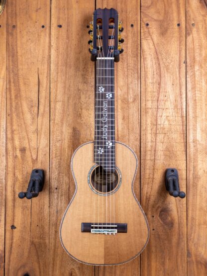 Custom Build #307 - Guitalele Torrefied Sitka Spruce Top, Walnut Back and Sides